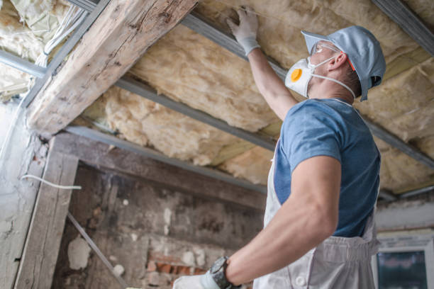 Best Commercial Insulation in Spencer, OK